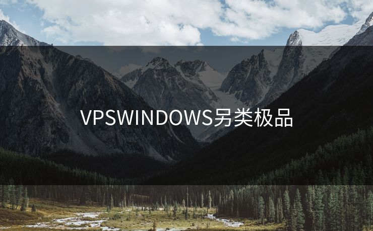 VPSWINDOWS另类极品