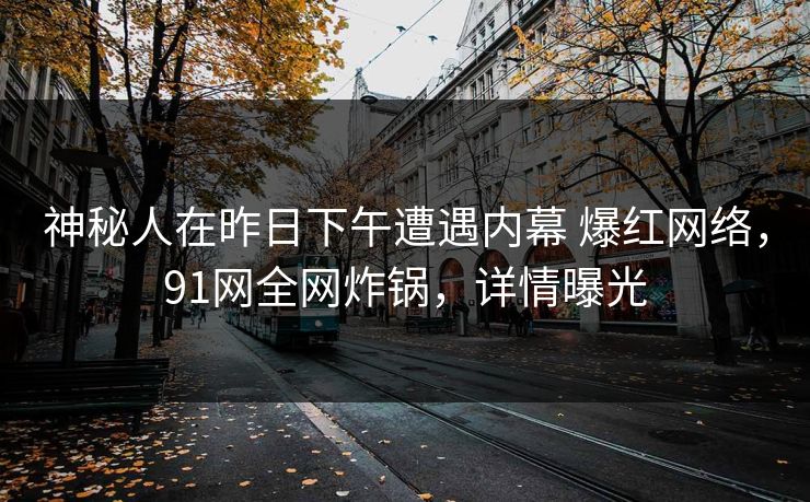 神秘人在昨日下午遭遇内幕 爆红网络，91网全网炸锅，详情曝光