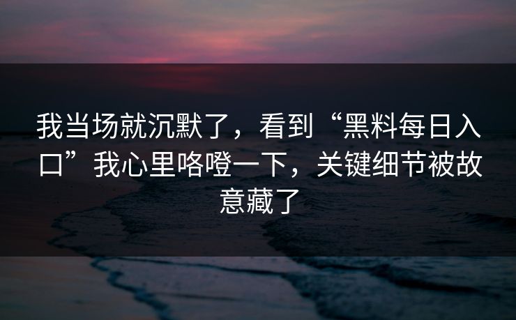 我当场就沉默了，看到“黑料每日入口”我心里咯噔一下，关键细节被故意藏了
